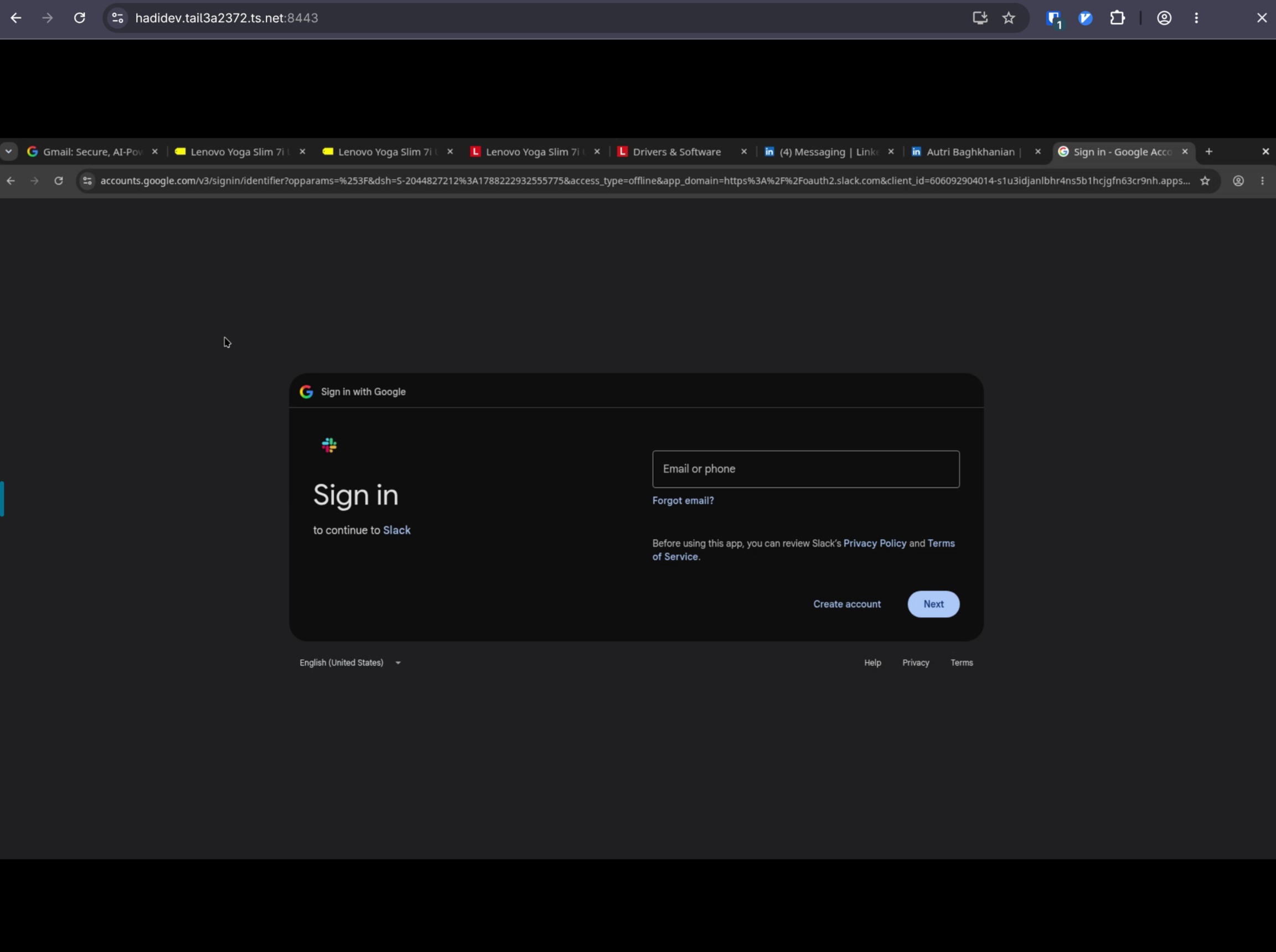 The agent browser, Chrome in a Docker container on the box, opened from my Mac over Tailscale