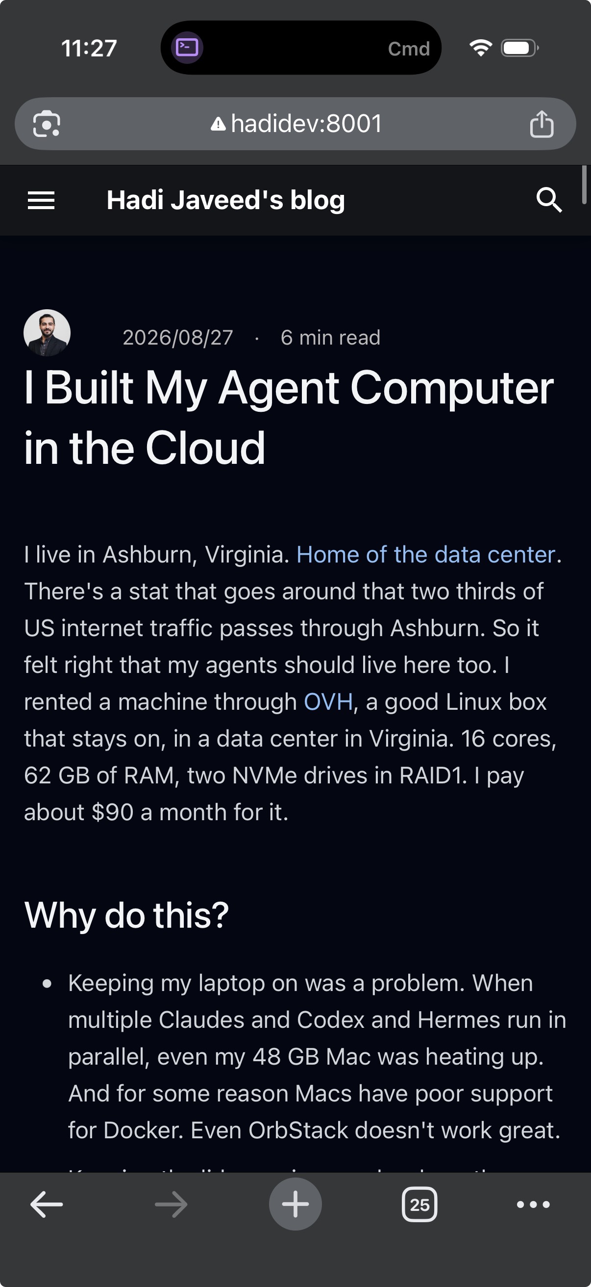 This post on my iPhone at hadidev:8001, served from the dev box over Tailscale