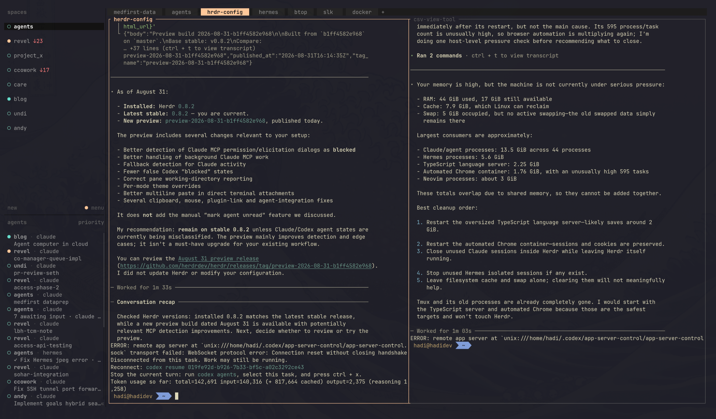 Herdr running on the dev box, agents across spaces and panes