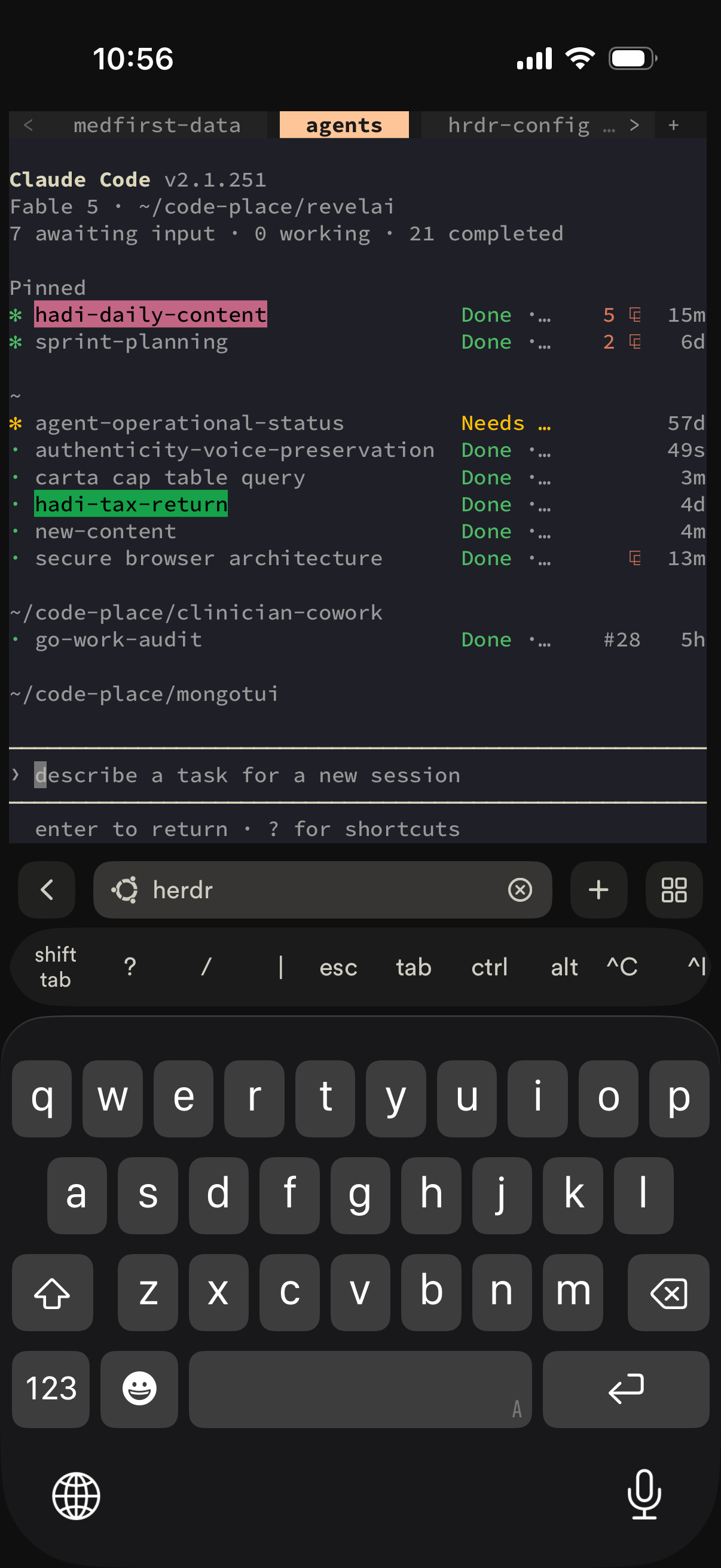 Termius on my iPhone, attached to Herdr on the dev box